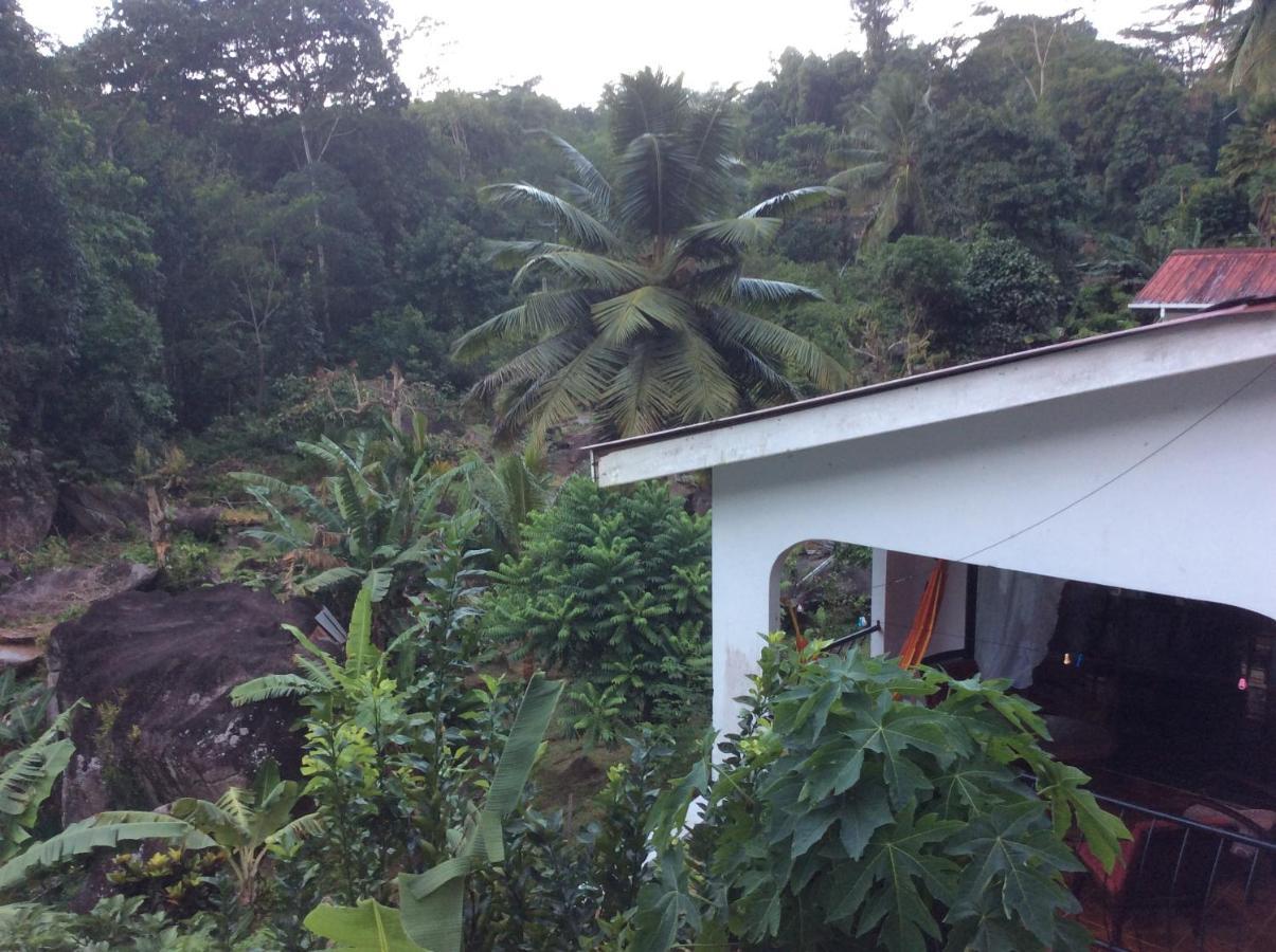 Papayas Self Catering Room Victoria Dış mekan fotoğraf