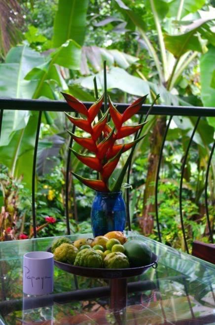 Papayas Self Catering Room Victoria Dış mekan fotoğraf